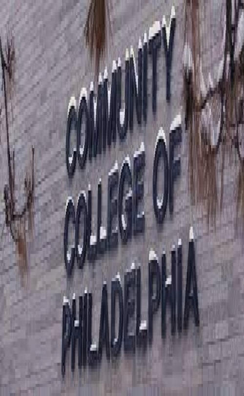 MSM Group - Community College of Philadelphia